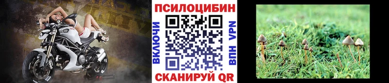 Галлюциногенные грибы GOLDEN TEACHER  Купить закладки  Междуреченск 